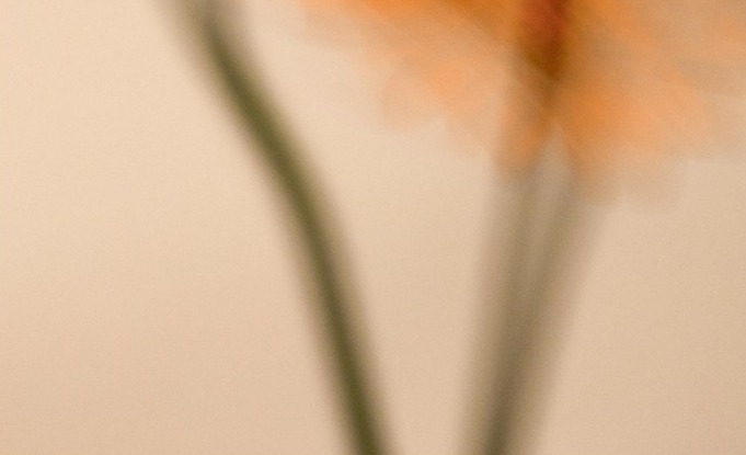 Blumenbar für Hochzeiten und Events in Zürich